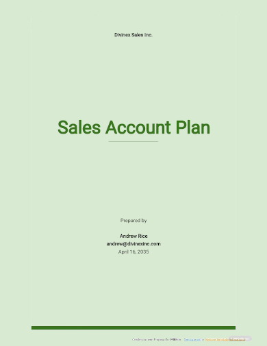 basic sales account plan template
