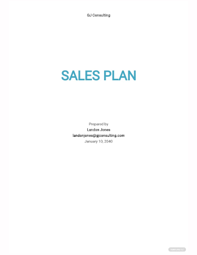 basic sales plan template