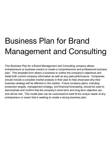 brand advertising consulting business plan