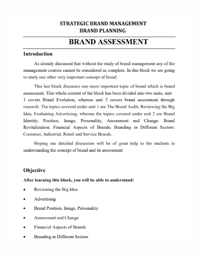 brand assessment management plan
