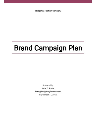 brand campaign plan