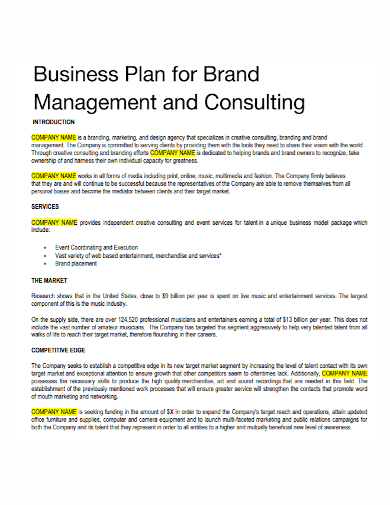 brand management business plan