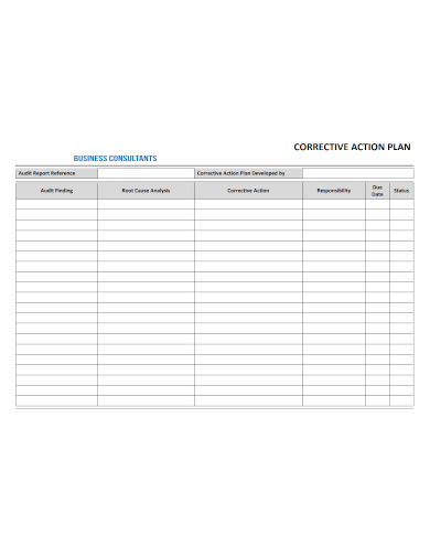 business consultation corrective action plan