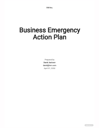 business emergency action plan template