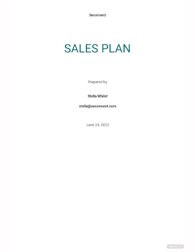 business sales plan template