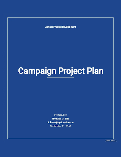 campaign project plan template