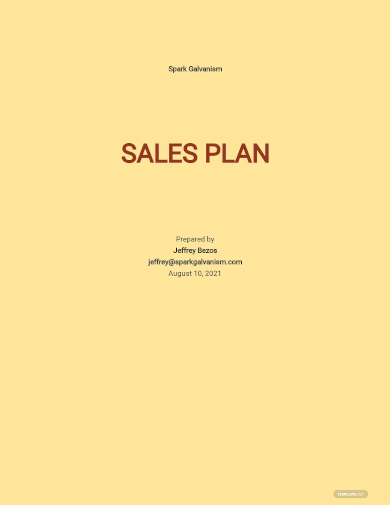 car sales plan template