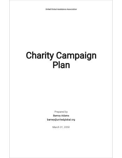 charity campaign plan