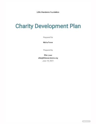 charity development plan template