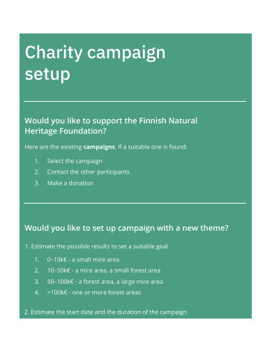 charity foundation campaign plan