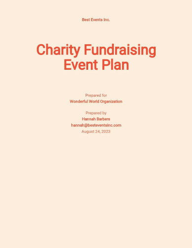 charity fundraising plan