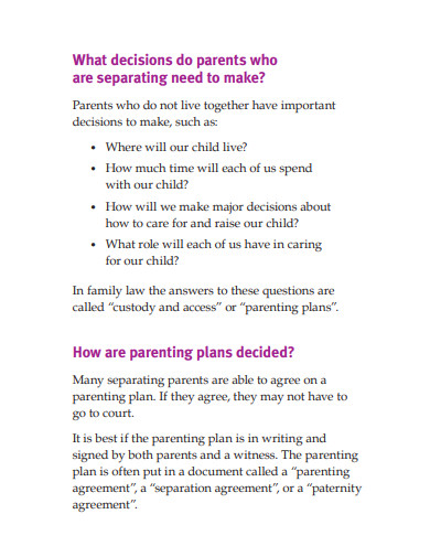 child custody access and parenting plan