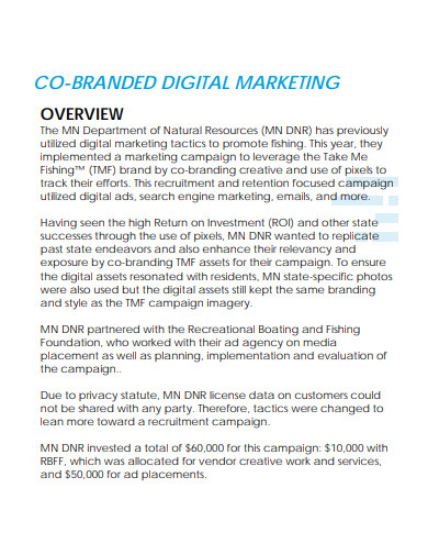 co branded digital marketing campaign plan