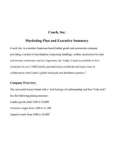 coach executive marketing plan