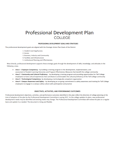 college professional development plan