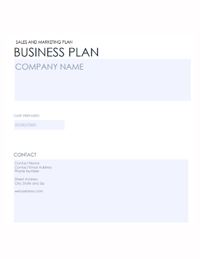 company business sales plan