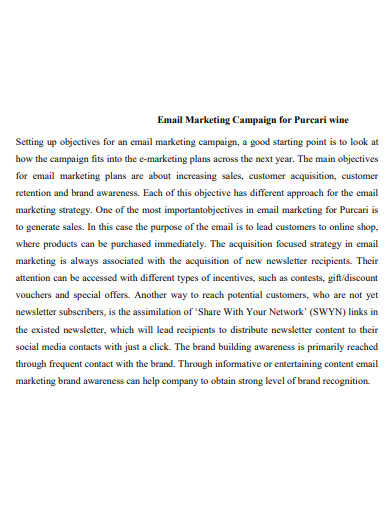 company email marketing campaign plan