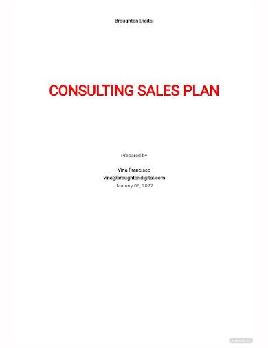 consulting sales plan template