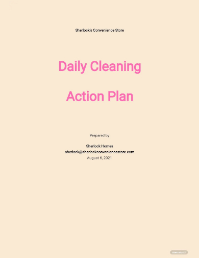daily action plan template