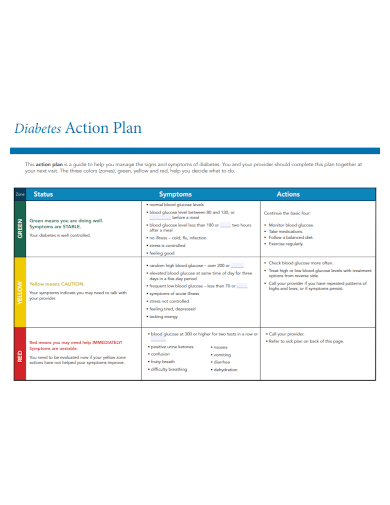 diabetes action plan