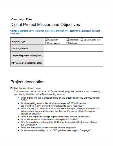 digital campaign project plan