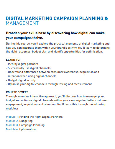 digital marketing campaign management plan