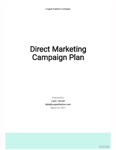 direct marketing campaign plan template