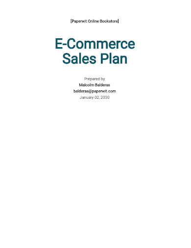 e commerce sales plan
