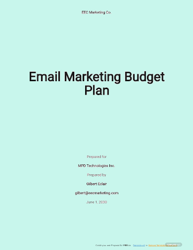 email marketing budget plan template