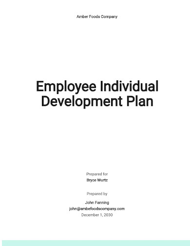 employee individual development plan