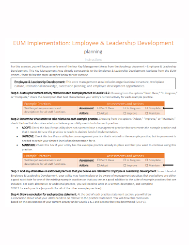 employee leadership development implementation plan