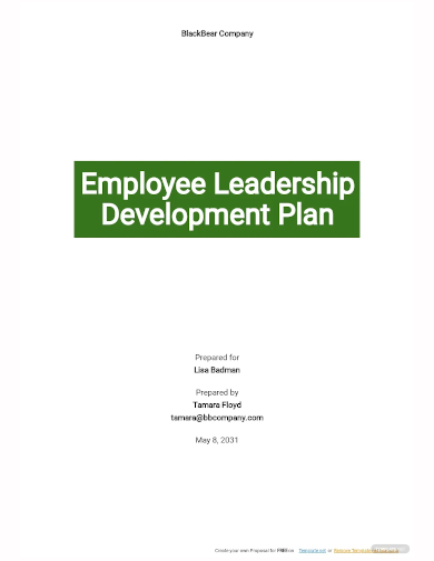 employee leadership development plan template