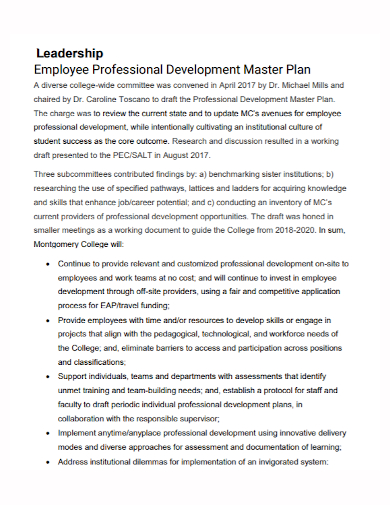 employee professional leadership development plan