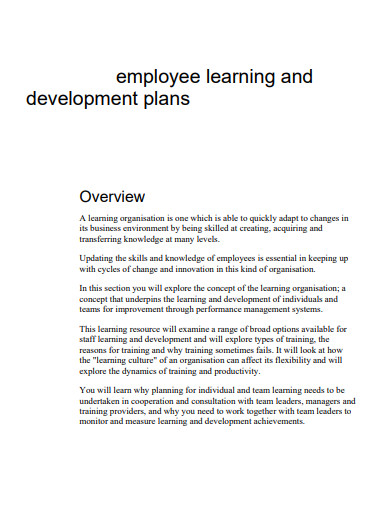 employee training and development plan example