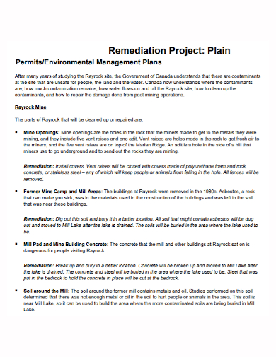 environment project management remediation plan