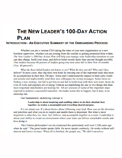 executive 100 day action plan