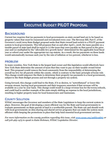 executive budget pilot proposal