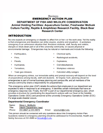 formal business emergency action plan