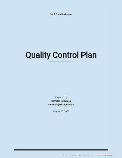 FREE 10+ Simple Quality Control Plan Samples in MS Word | Google Docs ...