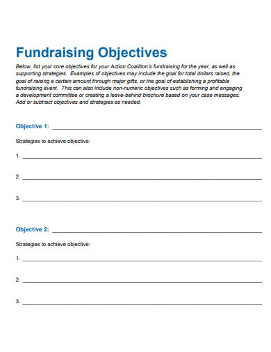 fundraising campaign action plan