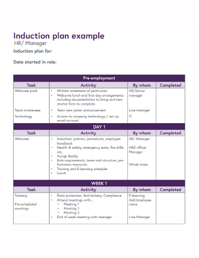hr manager induction plan