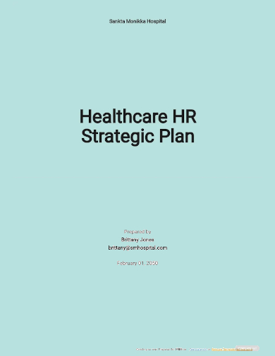 healthcare hr strategic plan template