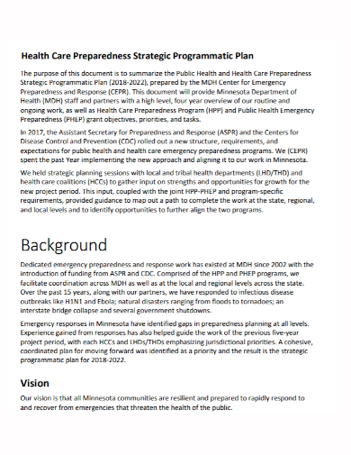 healthcare strategic programmatic plan