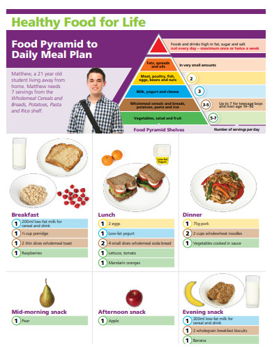 healthy daily meal plan