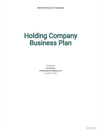 holding company business plan template