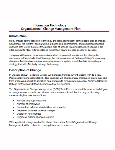 it organization change management plan