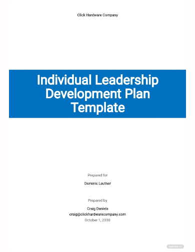 individual leadership development plan template