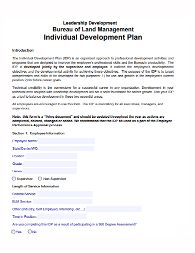 individual leadership management development plan