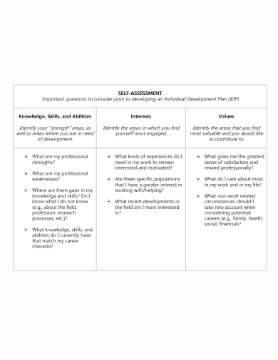 individual self assessment development plan
