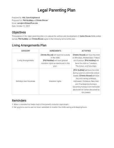 FREE 10 Legal Parenting Plan Samples In PDF MS Word Apple Pages 